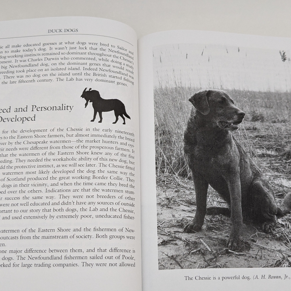Vintage Set of Hunting Books by Richard A. Wolters - Picture 6 of 10